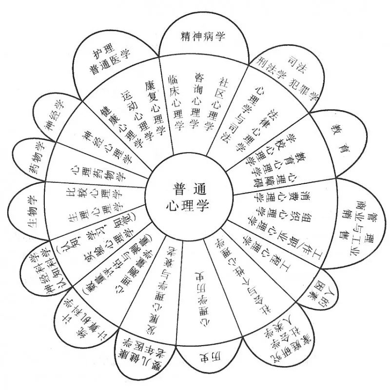 心理學(xué)最新動態(tài)與研究進(jìn)展