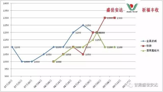 探尋小巷中的味覺寶藏，預(yù)測洋蔥2017年價格行情