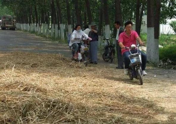 震驚！回顧沂水交通事故，警鐘長鳴！