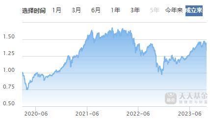 揭秘310398基金今日凈值，日常關(guān)注與奇妙緣分