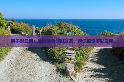 云南旅游最新攻略,云南旅游最新攻略，自信之旅，探索變化中的美景與成就感