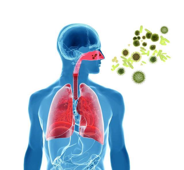 新型病毒主要癥狀探究，探索病毒影響的主要表現(xiàn)