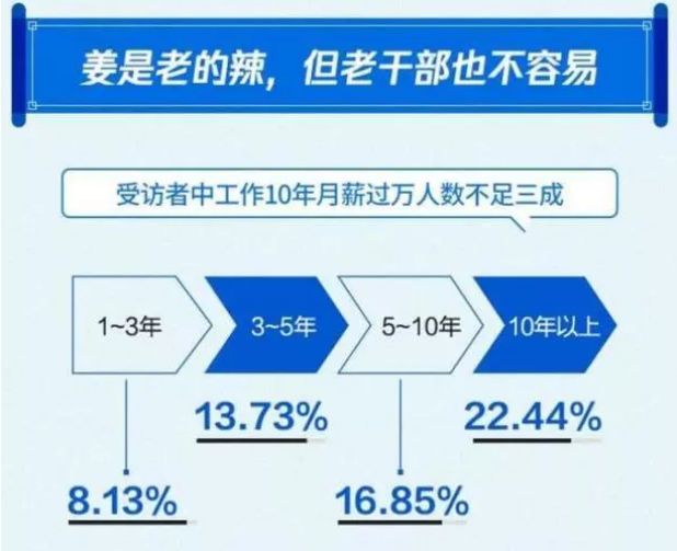 新譽(yù)集團(tuán)薪酬福利更新，激勵機(jī)制的新篇章啟動！