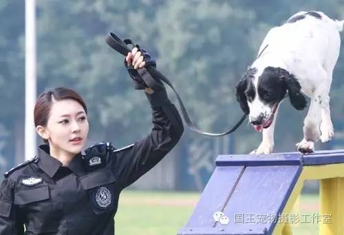 警花與警犬，鐵血柔情演繹真實(shí)警魂的演員們